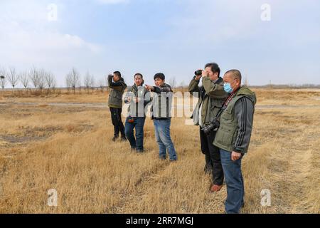 210331 -- BAICHENG, 31. März 2021 -- Mitglieder des Zhenlai Vogelschutzteams der China Wildlife Conservation Association beobachten Zugvögel im Zhenlai County, Baicheng City, nordöstliche Provinz Jilin, 31. März 2021. Eine Gruppe von Menschen läuft oft langsam und spricht mit einer niedrigen Stimme am Rande des Feuchtgebiets im Zhenlai County, wenn das Wetter sich erwärmt. Manchmal nehmen sie Ferngläser, um nach draußen zu schauen, und manchmal verbeugen sie sich, um die geografischen Koordinaten auf ihren Mobiltelefonen aufzuzeichnen. Sie sind Mitglieder des Vogelschutzteams Zhenlai des China Wildlife Conservation Associat Stockfoto