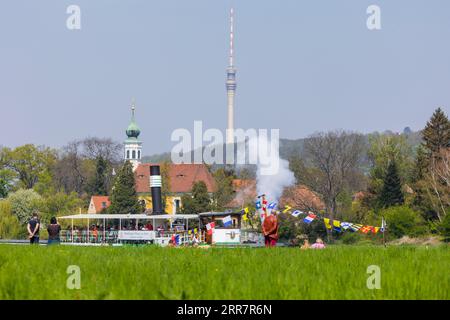 Dampfschiffparade der historischen Raddampfer. Im Hintergrund die Schifferkirche Maria am Wasser und der Fernsehturm Stockfoto