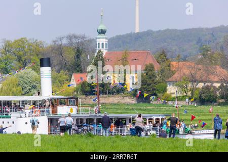 Dampfschiffparade der historischen Raddampfer. Im Hintergrund die Schifferkirche Maria am Wasser und der Fernsehturm Stockfoto