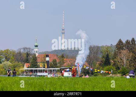 Dampfschiffparade der historischen Raddampfer. Im Hintergrund die Schifferkirche Maria am Wasser und der Fernsehturm Stockfoto