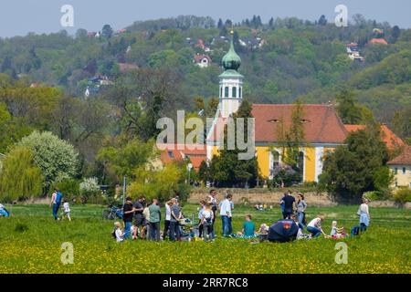 Dampfschiffparade der historischen Raddampfer. Im Hintergrund die Schifferkirche Maria am Wasser Stockfoto