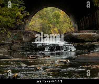 Eine malerische Herbstlandschaft mit einem ruhigen Bach, der unter einer Brücke fließt, umgeben von lebendigen, goldfarbenen Bäumen Stockfoto