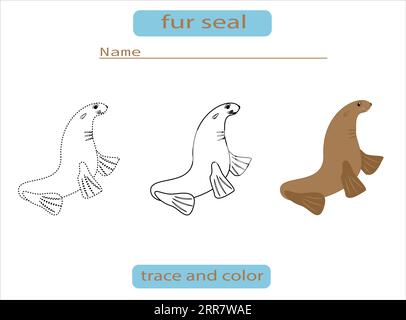 Kinderarbeitsblatt Färbung Pelzdichtung Umrisssilhouette und Farbe Vektor Stock Vektor