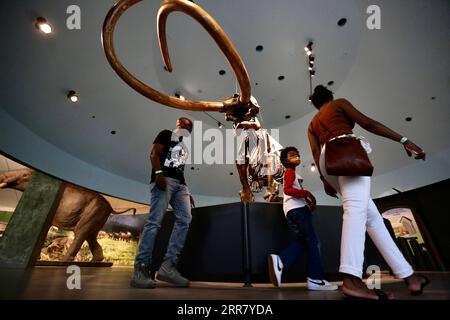 210408 -- LOS ANGELES, 8. April 2021 -- am 8. April 2021 besuchen die Menschen die La Brea Teer Pits and Museum in Los Angeles, Kalifornien, USA. Nach mehr als einem Jahr COVID-19-Schließung wurde das La Brea Teer Pits and Museum in Los Angeles am Donnerstag wieder für die Öffentlichkeit geöffnet. Museen, Galerien, botanische Gärten, Zoos und Aquarien im Los Angeles County dürfen ihre Innenräume mit einer maximalen Innenbelegung von 50 Prozent wieder für die Öffentlichkeit öffnen, nachdem das County in die Orange Tier eintrat. U.S.-LOS ANGELES-COVID-19-THE LA BREA TAR PITS AND MUSEUM-REOPENING XINHUA PUBLICATIONXNOTXINXCHN Stockfoto