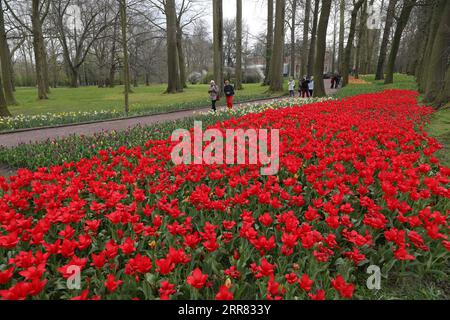 210415 -- BRÜSSEL, 15. April 2021 -- Besucher besuchen die Floralia Brüssel, oder die 18. Ausgabe der internationalen Blumenausstellung, im Grand Bigard Schloss in der Nähe von Brüssel, Belgien, 14. April 2021. Die Ausstellung dauert bis zum 2. Mai. Der 14 Hektar große Park zeigt mehr als eine Million Blumen mit fast 400 Tulpenarten. Hyazinthen und Narzissen sind ebenfalls gut vertreten. BELGIEN-BRÜSSEL-BLUMENAUSSTELLUNG ZhengxHuansong PUBLICATIONxNOTxINxCHN Stockfoto