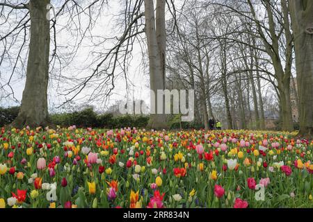 210415 -- BRÜSSEL, 15. April 2021 -- Besucher besuchen die Floralia Brüssel, oder die 18. Ausgabe der internationalen Blumenausstellung, im Grand Bigard Schloss in der Nähe von Brüssel, Belgien, 14. April 2021. Die Ausstellung dauert bis zum 2. Mai. Der 14 Hektar große Park zeigt mehr als eine Million Blumen mit fast 400 Tulpenarten. Hyazinthen und Narzissen sind ebenfalls gut vertreten. BELGIEN-BRÜSSEL-BLUMENAUSSTELLUNG ZhengxHuansong PUBLICATIONxNOTxINxCHN Stockfoto