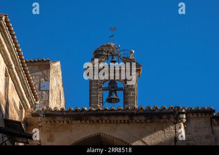 Storchennest thront und gebaut mit Zweigen über dem Glockenturm und einer kleinen Glocke der alten Kathedrale von Salamanca mit den Ziegeldächern umrandet von Stockfoto