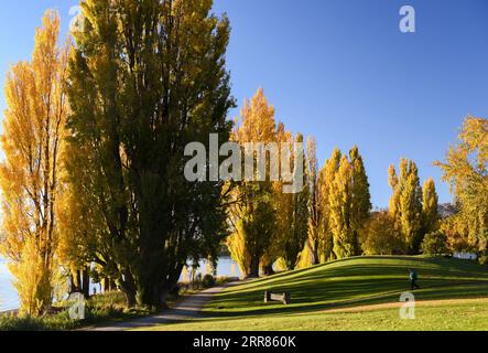 210420 -- WANAKA, 20. April 2021 -- Foto vom 20. April 2021 zeigt die Herbstlandschaft am Lake Wanaka auf der Südinsel Neuseelands. NEUSEELAND-SÜDINSEL-HERBSTLANDSCHAFT GUOXLEI PUBLICATIONXNOTXINXCHN Stockfoto