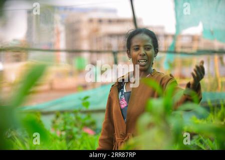 210423 -- ADDIS ABEA, 23. April 2021 -- Tigist Abebe, ein Absolvent der Buchhaltung, beschäftigt sich mit Garten- und Landschaftsbauarbeiten, die die Massenproduktion von Pflanzensämlingen in provisorischen Gewächshäusern und Gärtnereien in den Straßenrändern von Addis Abebe, Äthiopien, umfassen, 22. April 2021. Während Äthiopien sich seinem Bestreben, eine grüne Wirtschaft aufzubauen, bewusst ist, nahmen verzweifelt arbeitsplatzsuchende äthiopische Jugendliche das einst vernachlässigte kommerzielle Baumpflanz- und Gartenbauprojekt auf. Der Anbau von Pflanzenkeimlingen und der Gartenbau waren wie eine typische landwirtschaftliche Arbeit lange Zeit den armen und ländlichen Äthiopern überlassen worden, von denen die meisten davon sind Stockfoto