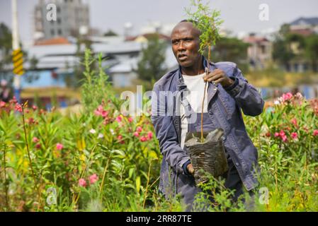 210423 -- ADDIS ABEBA, 23. April 2021 -- Mekbib Megersa, ein Survey- und Bauabsolvent, beschäftigt sich mit Garten- und Landschaftsbauarbeiten, die die Massenproduktion von Pflanzensämlingen in provisorischen Gewächshäusern und Baumschulen an den Straßenrändern von Addis Abeba, Äthiopien, 22. April 2021 umfassen. Während Äthiopien sich seinem Bestreben, eine grüne Wirtschaft aufzubauen, bewusst ist, nahmen verzweifelt arbeitsplatzsuchende äthiopische Jugendliche das einst vernachlässigte kommerzielle Baumpflanz- und Gartenbauprojekt auf. Die Sämlingsproduktion und der Gartenbau, wie eine typische landwirtschaftliche Arbeit, waren lange Zeit armen und ländlichen Äthiopiern überlassen worden, m Stockfoto