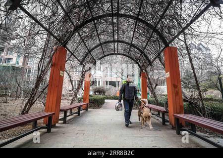 210428 -- DALIAN, 28. April 2021 -- sehbehinderter Mann Wen Shipeng geht mit seinem Blindenhund in Dalian, Provinz Liaoning im Nordosten Chinas, 13. Januar 2020. Die Dalian-Niederlassung des China Guide Dog Training Center, das im Mai 2006 gegründet wurde, ist eine gemeinnützige Ausbildungseinrichtung für Blindenhunde in China. Es hat 239 kostenlose Blindenhunde für sehbehinderte Menschen im ganzen Land zur Verfügung gestellt. Blindenhunde in der Mitte werden streng aus Labrador und Golden Retrievers ausgewählt. In der Regel 45 Tage nach der Geburt werden diese Welpen in ehrenamtliche Familien geschickt, um sich mit dem menschlichen Leben und dem Leben vertraut zu machen Stockfoto