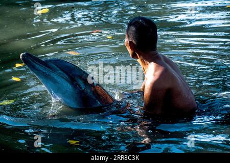 210430 -- SOUTH SULAWESI, 30. April 2021 -- ein Beamter des South Sulawesi Natural Resources Conservancy Center BKSDA versucht, einen zwei Meter langen, rauhgezahnten Delfin freizulassen, der auf einer Fischfarm in Maros, South Sulawesi, Indonesien, am 30. April 2021 festsitzt. Foto von /Xinhua INDONESIA-SOUTH SULAWESI-DOLPHIN-RELEASE NiazxSharief PUBLICATIONxNOTxINxCHN Stockfoto