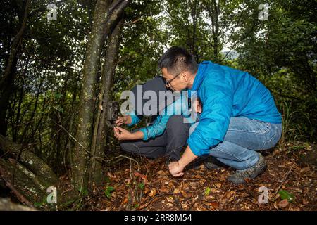 210512 -- LISHUI, 12. Mai 2021 -- der Forscher Yong Fan L vom Nanjing Institut für Umweltwissenschaften und Assistent Liu Yukun überprüfen die Fotos, die von einer Infrarotkamera in der Stadt Longquan in der ostchinesischen Provinz Zhejiang am 11. Mai 2021 gemacht wurden. Die Stadt Longquan liegt im Berggebiet der südwestlichen Provinz Zhejiang und genießt eine günstige ökologische Umgebung. Sie ist bekannt für ihre reichhaltige Artenvielfalt in Ostchina. Derzeit organisiert das Nanjing Institute of Environmental Sciences unter dem Ministerium für Ökologie und Umwelt Experten, um die Biodiver kontinuierlich zu untersuchen Stockfoto