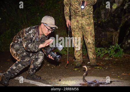 210512 -- LISHUI, 12. Mai 2021 -- Ein Mitarbeiter des Nanjing Institute of Environmental Sciences fotografiert eine Kobra in der Stadt Longquan in der ostchinesischen Provinz Zhejiang, 11. Mai 2021. Die Stadt Longquan liegt im Berggebiet der südwestlichen Provinz Zhejiang und genießt eine günstige ökologische Umgebung. Sie ist bekannt für ihre reichhaltige Artenvielfalt in Ostchina. Derzeit organisiert das Nanjing Institute of Environmental Sciences unter dem Ministerium für Ökologie und Umwelt Experten, um die Biodiversität in Longquan City kontinuierlich zu untersuchen. Es wird ein elektronisches c eingerichtet Stockfoto