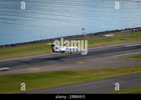 De Havilland Canada Dash 8-300 Flugzeuge landen auf Wellington Flughafen, North Island, Neuseeland Stockfoto