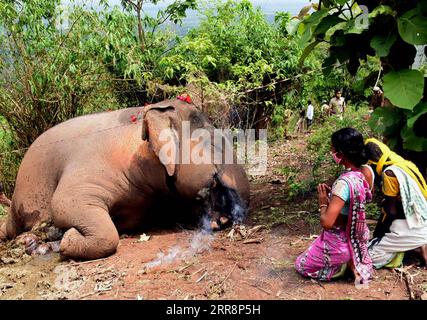 News Bilder des Tages 210514 -- NAGAON INDIA, 14. Mai 2021 -- die Dorfbewohner erweisen dem Leichnam eines Elefanten im Bezirk Nagaon, Indiens nordöstlichem Bundesstaat Assam, am 14. Mai 2021 ihre letzte Ehre. Mindestens 18 Elefanten wurden laut den vorläufigen Berichten der Forstbeamten vermutlich durch Blitzschlag getötet. STR/Xinhua INDIA-NAGAON-ELEPHANTS-DEATH Stringer PUBLICATIONxNOTxINxCHN Stockfoto