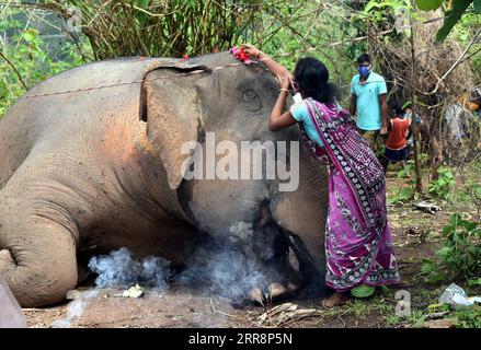 210514 -- NAGAON INDIA, 14. Mai 2021 -- Eine Dorfbewohnerin zollt dem Leichnam eines Elefanten im Bezirk Nagaon, Indiens nordöstlichem Bundesstaat Assam, am 14. Mai 2021 ihre letzte Ehre. Mindestens 18 Elefanten wurden laut den vorläufigen Berichten der Forstbeamten vermutlich durch Blitzschlag getötet. STR/Xinhua INDIA-NAGAON-ELEPHANTS-DEATH Stringer PUBLICATIONxNOTxINxCHN Stockfoto