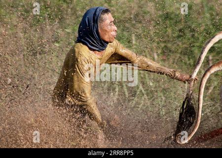 210515 -- WEST SUMATRA, 15. Mai 2021 -- Ein Jockey nimmt am 15. Mai 2021 an einem traditionellen PACU Jawi Kuhrennen in Tanah DATAR in West Sumatra, Indonesien, Teil. Das PACU Jawi findet jährlich auf matschigen Reisfeldern statt, um das Ende der Erntesaison zu feiern. Foto: /Xinhua INDONESIA-WEST SUMATRA-PACU JAWI AndrixMardiansyah PUBLICATIONxNOTxINxCHN Stockfoto