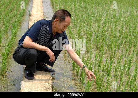 210522 -- PEKING, 22. Mai 2021 -- Aktenfoto vom 10. Mai 2007 zeigt Yuan Longping, wie er die Versuchsplantage von Hybridreis inspiziert. Der chinesische Wissenschaftler Yuan Longping, bekannt für die Entwicklung der ersten Hybridreissorte, die unzählige Menschen aus dem Hunger zog, starb am Samstag mit 91 an einer Krankheit. CHINA-YUAN LONGPING-VATER DES HYBRIDEN REISTODES CN ZHAOXZHONGZHI PUBLICATIONXNOTXINXCHN Stockfoto