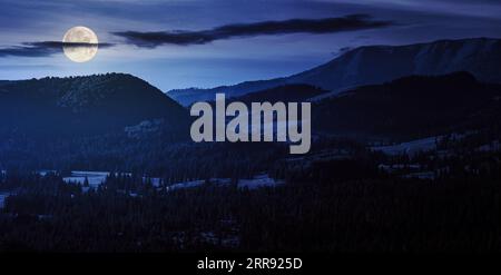 Tannen im Tal der apuseni-Bergkette rumäniens bei Nacht. Wundervolle Landschaft bei Vollmondlicht Stockfoto