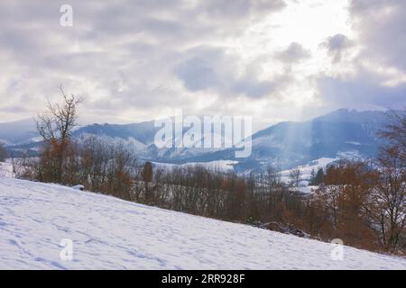 karpatische Landlandschaft im Winter. Bewölktes Wetter mit Sonnenstrahlen durch Wolken. Schneebedecktes Feld und laublose Bäume auf dem Hügel Stockfoto