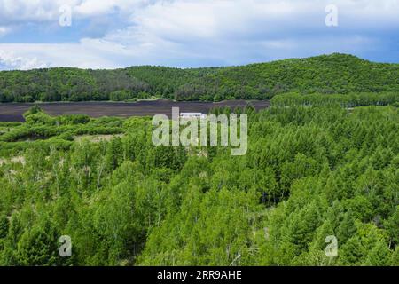 210606 -- YICHUN, 6. Juni 2021 -- Luftaufnahme, aufgenommen am 3. Juni 2021, zeigt eine Ansicht von Zhang Yingshans Haus in einer Waldfarm, die vom Wumahe Forst Bureau in der Stadt Yichun in der nordöstlichen chinesischen Provinz Heilongjiang verwaltet wird. Sein ganzes Leben lang hat Zhang Yingshan, 65, seit über 45 Jahren mit Bäumen gearbeitet. Nach dem Schritt seines Vaters wurde Zhang 1975 Forstarbeiter im Forstbüro Wumahe. Neun Jahre später eröffnete er die erste familiengeführte Waldfarm des Büros und pflanzte jedes Jahr 30 Hektar Bäume. Von 1981 bis 2011 pflanzten Zhang und seine Frau Yan Yuping rund eine Million Bäume an Stockfoto