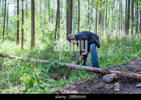 210606 -- YICHUN, 6. Juni 2021 -- Zhang Yingshan reinigt einen Bergweg, indem er einen vom Wind geblasenen Baum in einer Waldfarm entfernt, die vom Wumahe Forst Bureau in der Stadt Yichun, nordöstliche Provinz Heilongjiang, am 3. Juni 2021 verwaltet wird. Sein ganzes Leben lang hat Zhang Yingshan, 65, seit über 45 Jahren mit Bäumen gearbeitet. Nach dem Schritt seines Vaters wurde Zhang 1975 Forstarbeiter im Forstbüro Wumahe. Neun Jahre später eröffnete er die erste familiengeführte Waldfarm des Büros und pflanzte jedes Jahr 30 Hektar Bäume. Von 1981 bis 2011 pflanzten Zhang und seine Frau Yan Yuping rund eine Million Stockfoto