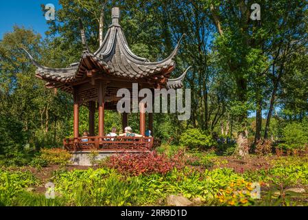 Der Qing Yin-Musikpavillion im Chinese Streamside Garden im RHS Bridgewater Gardens in Worsley bei Manchester. Stockfoto