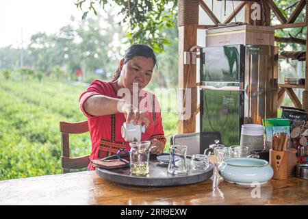 210613 -- BAISHA, 13. Juni 2021 -- Fu Xiaofang macht Tee im Wulilu Teegarten im Autonomen Kreis Baisha Li in der südchinesischen Provinz Hainan, 10. Juni 2021. Fu Xiaofang, die aus der ethnischen Gruppe Li stammt, gründete 2008 ihr eigenes Teegeschäft und Betrieb den Wulilu Bio-Teegarten in Baisha Li Autonomous County, ihrer Heimatstadt. Durch Versuch und Irrtum expandierte Fu's Teegarten auf etwa 20 Hektar und verkaufte organischen Tee in ganz China. Im Rahmen eines Programms zur Armutsbekämpfung in der Industrie hat der Teegarten verarmte Bauern in die Teeproduktion einbezogen und ihnen geholfen, die Armut abzuschütteln. CHINA-HAINA Stockfoto