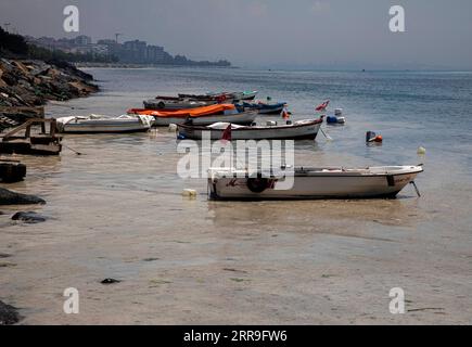 210614 -- ISTANBUL, 14. Juni 2021 -- Foto vom 11. Juni 2021 zeigt Schleim, bekannt als Seeschmuck im Marmarameer vor Istanbul, Türkei. Die Türkei hat sich darauf vorbereitet, die Schleimhaut zu bekämpfen, die das Marmarameer in der dicht besiedelten Industrieregion des Landes heimgesucht hat. Foto von /Xinhua TURKEY-ISTANBUL-MUCILAGE-CLEANUP OsmanxOrsal PUBLICATIONxNOTxINxCHN Stockfoto