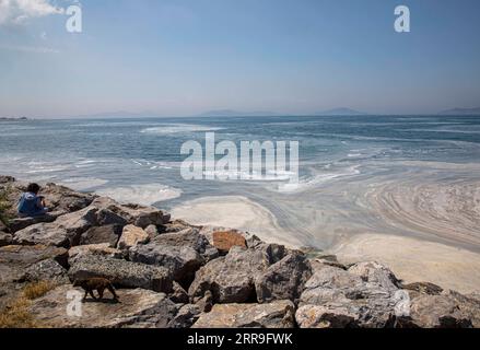 210614 -- ISTANBUL, 14. Juni 2021 -- Foto vom 11. Juni 2021 zeigt Schleim, bekannt als Seeschmuck im Marmarameer vor Istanbul, Türkei. Die Türkei hat sich darauf vorbereitet, die Schleimhaut zu bekämpfen, die das Marmarameer in der dicht besiedelten Industrieregion des Landes heimgesucht hat. Foto von /Xinhua TURKEY-ISTANBUL-MUCILAGE-CLEANUP OsmanxOrsal PUBLICATIONxNOTxINxCHN Stockfoto