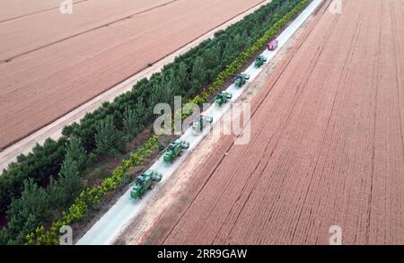 210616 -- ZHENGZHOU, 16. Juni 2021 -- Luftaufnahme vom 2. Juni 2020 zeigt Maschinen, die sich auf die Weizenernte vorbereiten, auf der Huangfanqu Farm, einer nationalen Demonstrationsfarm für moderne Landwirtschaft in der zentralchinesischen Provinz Henan. Die 1951 gegründete Huangfanqu-Farm ist eine der ersten mechanisierten staatseigenen Farmen seit der Gründung der Volksrepublik China. Auf der Huangfanqu Farm mit einer Fläche von etwa 7.000 Hektar wird die umfassende Mechanisierung der landwirtschaftlichen Arbeit 99 Prozent erreichen. CHINA-HENAN-WEIZEN-HARVESTCN LixJianan PUBLICATIONxNOTxINxCHN Stockfoto