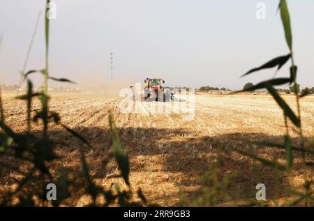 210616 -- ZHENGZHOU, 16. Juni 2021 -- Eine Sämaschine sät Mais auf einem Feld auf der Huangfanqu Farm, einer nationalen Demonstrationsfarm für moderne Landwirtschaft, in der zentralchinesischen Provinz Henan, 5. Juni 2021. Die 1951 gegründete Huangfanqu-Farm ist eine der ersten mechanisierten staatseigenen Farmen seit der Gründung der Volksrepublik China. Auf der Huangfanqu Farm mit einer Fläche von etwa 7.000 Hektar wird die umfassende Mechanisierung der landwirtschaftlichen Arbeit 99 Prozent erreichen. CHINA-HENAN-WEIZEN-HARVESTCN XuxYanan PUBLICATIONxNOTxINxCHN Stockfoto