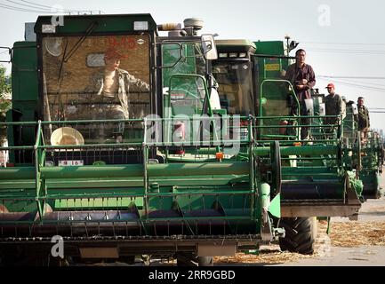 210616 -- ZHENGZHOU, 16. Juni 2021 -- Maschinen bereiten sich auf die Weizenernte auf der Huangfanqu Farm vor, einer nationalen Demonstrationsfarm für moderne Landwirtschaft in der zentralchinesischen Provinz Henan, 6. Juni 2021. Die 1951 gegründete Huangfanqu-Farm ist eine der ersten mechanisierten staatseigenen Farmen seit der Gründung der Volksrepublik China. Auf der Huangfanqu Farm mit einer Fläche von etwa 7.000 Hektar wird die umfassende Mechanisierung der landwirtschaftlichen Arbeit 99 Prozent erreichen. CHINA-HENAN-WHEAT HARVESTCN LixAn PUBLICATIONxNOTxINxCHN Stockfoto