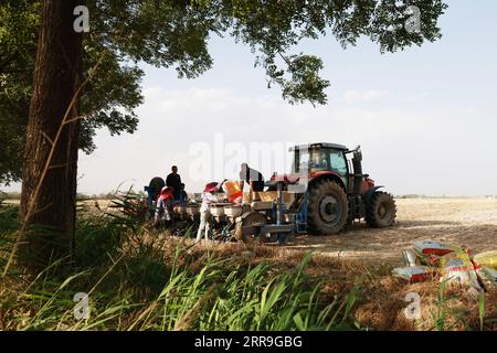 210616 -- ZHENGZHOU, 16. Juni 2021 -- Menschen laden Maissaat zu einer Sämaschine auf der Huangfanqu Farm, einer nationalen Demonstrationsfarm für moderne Landwirtschaft, in der zentralchinesischen Provinz Henan, 5. Juni 2021. Die 1951 gegründete Huangfanqu-Farm ist eine der ersten mechanisierten staatseigenen Farmen seit der Gründung der Volksrepublik China. Auf der Huangfanqu Farm mit einer Fläche von etwa 7.000 Hektar wird die umfassende Mechanisierung der landwirtschaftlichen Arbeit 99 Prozent erreichen. CHINA-HENAN-WEIZEN-HARVESTCN XuxYanan PUBLICATIONxNOTxINxCHN Stockfoto