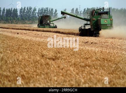 210616 -- ZHENGZHOU, 16. Juni 2021 -- Erntemacher arbeiten auf einem Weizenfeld auf der Huangfanqu Farm, einer nationalen Demonstrationsfarm für moderne Landwirtschaft, in der zentralchinesischen Provinz Henan, 6. Juni 2021. Die 1951 gegründete Huangfanqu-Farm ist eine der ersten mechanisierten staatseigenen Farmen seit der Gründung der Volksrepublik China. Auf der Huangfanqu Farm mit einer Fläche von etwa 7.000 Hektar wird die umfassende Mechanisierung der landwirtschaftlichen Arbeit 99 Prozent erreichen. CHINA-HENAN-WHEAT HARVESTCN LixAn PUBLICATIONxNOTxINxCHN Stockfoto