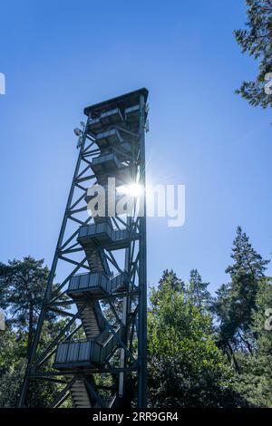 Feuerwehrturm auf dem Rennberg, bei Flaesheim, Haltern am See, im Waldgebiet Haard, einer von 3 Feuerwehrtürmen in der Region, von April bis Oktober Stockfoto