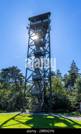 Feuerwehrturm auf dem Rennberg, bei Flaesheim, Haltern am See, im Waldgebiet Haard, einer von 3 Feuerwehrtürmen in der Region, von April bis Oktober Stockfoto