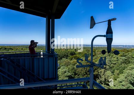 Feuerwehrturm auf dem Rennberg, bei Flaesheim, Haltern am See, im Waldgebiet Haard, einer von 3 Feuerwehrtürmen in der Region, von April bis Oktober Stockfoto