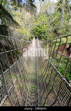 Die Burma Rope Bridge in den Lost Gardens von Heligan, Pentewan, St.Austell, Cornwall, England, UK Stockfoto