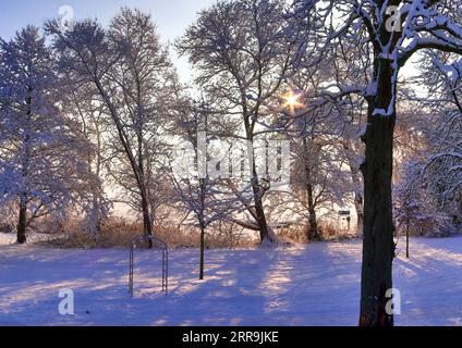 Bäume im Winter mit viel Schnee auf ihnen Stockfoto