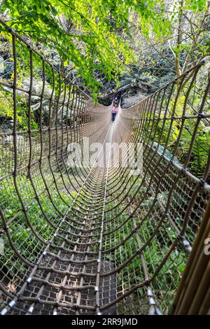 Die Burma Rope Bridge in den Lost Gardens von Heligan, Pentewan, St.Austell, Cornwall, England, UK Stockfoto
