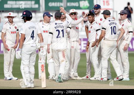 Umesh Yadav aus Middlesex feiert mit seinen Teamkollegen, nachdem er das Wicket von Mark Stoneman während Essex CCC gegen Middlesex CCC, LV Insurance Count, übernommen hat Stockfoto