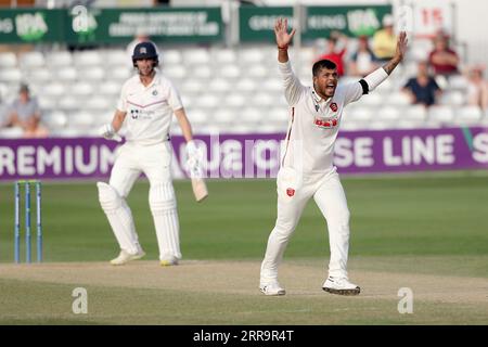 Umesh Yadav von Essex appelliert an Toby Roland-Jones während des Essex CCC gegen Middlesex CCC, LV Insurance County Championship Division 1 Cricke Stockfoto