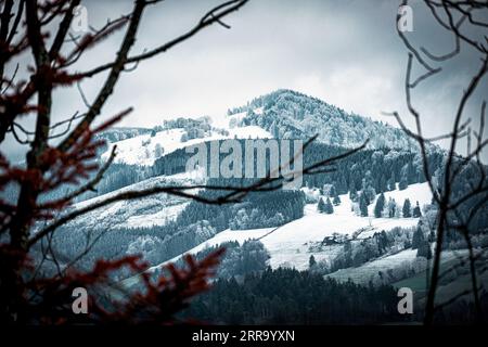 Schneebedeckter Berggipfel in schwarzem Wald Stockfoto
