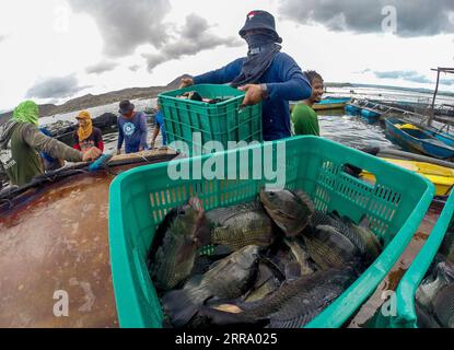 210708 -- BATANGAS, 8. Juli 2021 -- Fischer sammeln am 8. Juli 2021 in der Nähe der Vulkaninsel Taal in der Provinz Batangas auf den Philippinen Tilapia-Fische. PHILIPPINEN-BATANGAS-FISHING RouellexUmali PUBLICATIONxNOTxINxCHN Stockfoto