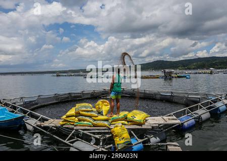 210708 -- BATANGAS, 8. Juli 2021 -- Ein Fischer wirft am 8. Juli 2021 Fischfutter in der Nähe der Vulkaninsel Taal in der Provinz Batangas auf den Philippinen. PHILIPPINEN-BATANGAS-FISHING RouellexUmali PUBLICATIONxNOTxINxCHN Stockfoto