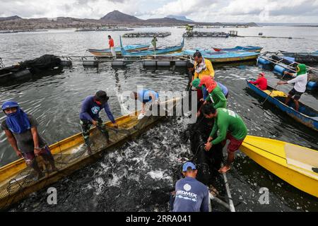 210708 -- BATANGAS, 8. Juli 2021 -- Fischer sammeln am 8. Juli 2021 in der Nähe der Vulkaninsel Taal in der Provinz Batangas auf den Philippinen Tilapia-Fische. PHILIPPINEN-BATANGAS-FISHING RouellexUmali PUBLICATIONxNOTxINxCHN Stockfoto