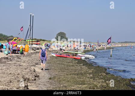 Studland, Dorset, UK, 7. September 2023, Wetter: Menschen am heißen sonnigen Strand an der Südküste Englands im Spätsommer Hitzewelle. Paul Biggins/Alamy Live News Stockfoto