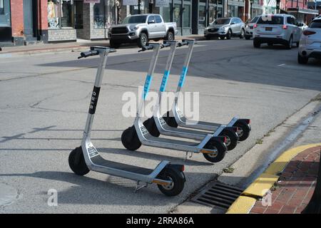 Elektroroller für Vogeltouren in Bay City Michigan Stockfoto